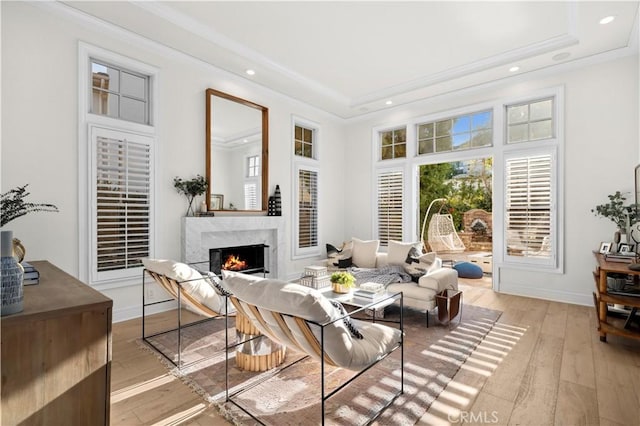 living area featuring a premium fireplace, crown molding, light hardwood / wood-style floors, and a raised ceiling