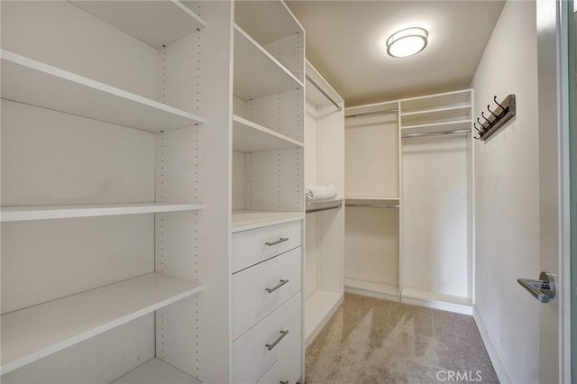 spacious closet featuring light carpet