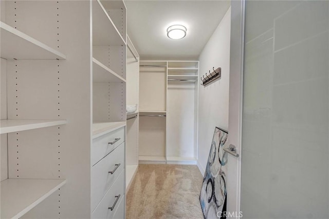 spacious closet with light colored carpet