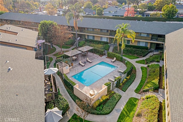 view of pool featuring a patio