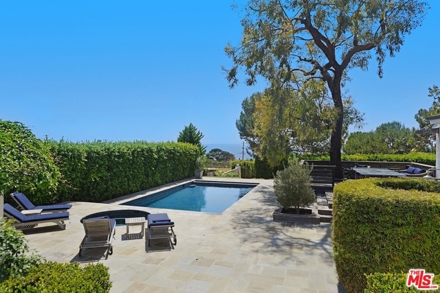 view of pool with a patio area