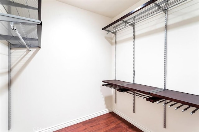 spacious closet with dark hardwood / wood-style floors