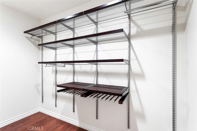 walk in closet featuring hardwood / wood-style floors