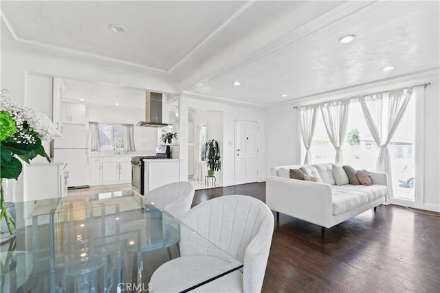 living room featuring dark hardwood / wood-style floors and a wealth of natural light