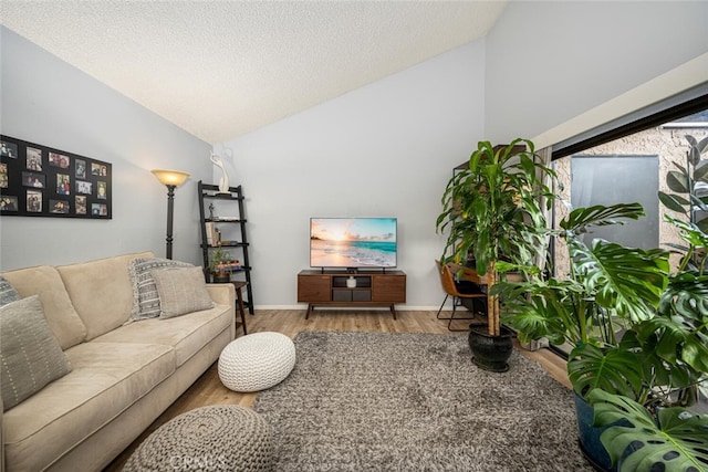 living room featuring lofted ceiling, a textured ceiling, and hardwood / wood-style floors