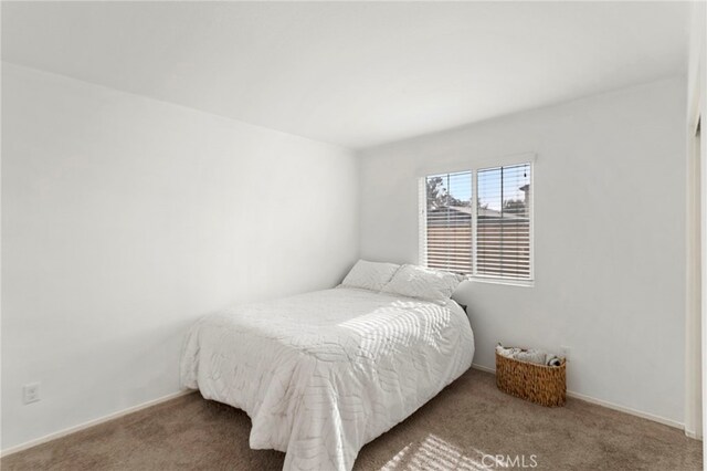 bedroom featuring carpet