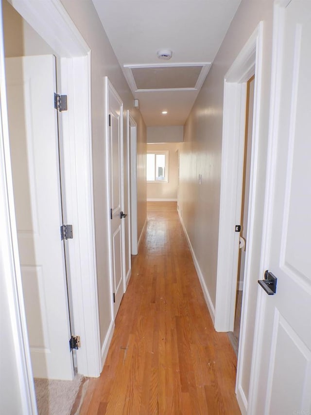 corridor featuring light hardwood / wood-style floors