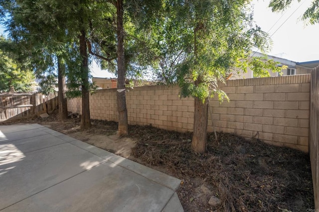 view of yard with a patio