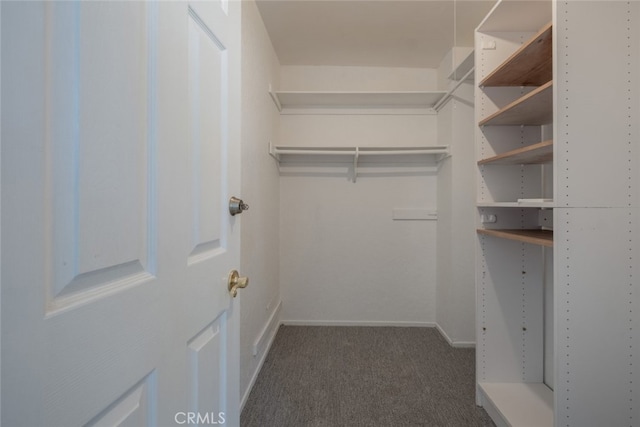 spacious closet with dark carpet