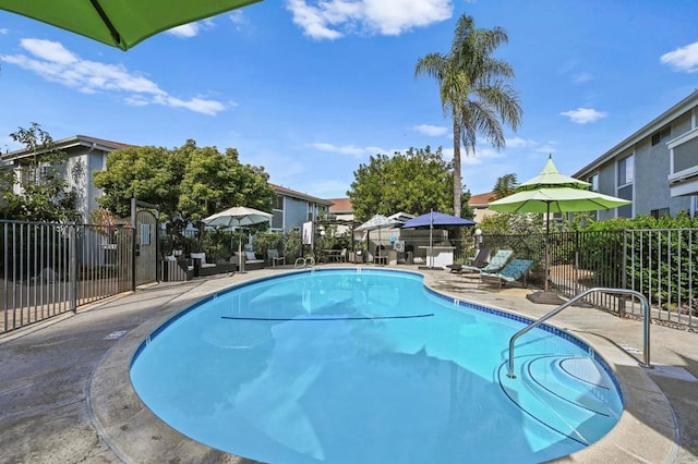 view of swimming pool