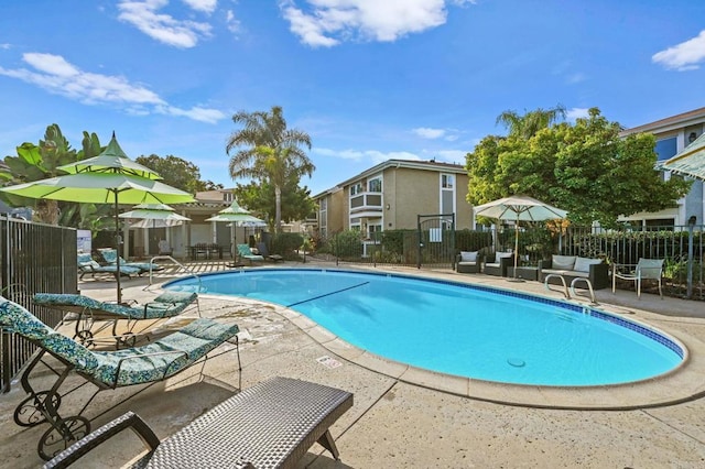 view of pool with a patio