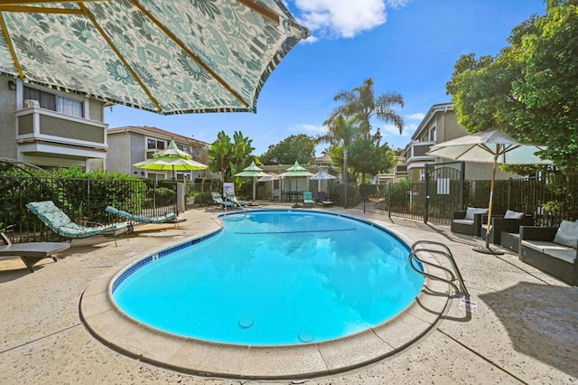 view of swimming pool