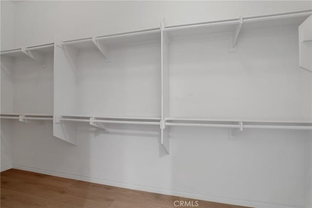 spacious closet featuring light wood-type flooring