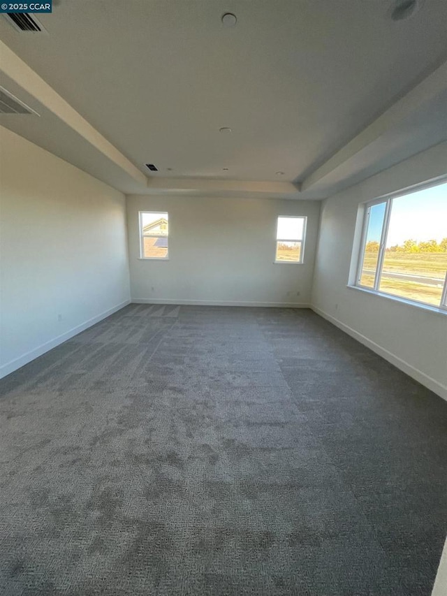 carpeted spare room featuring a raised ceiling