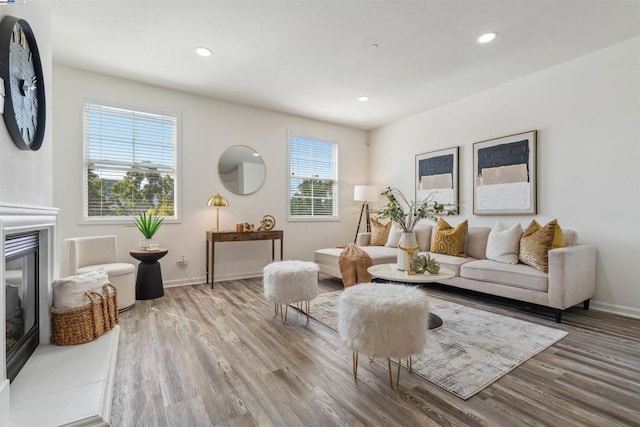 living room featuring wood-type flooring and a wealth of natural light