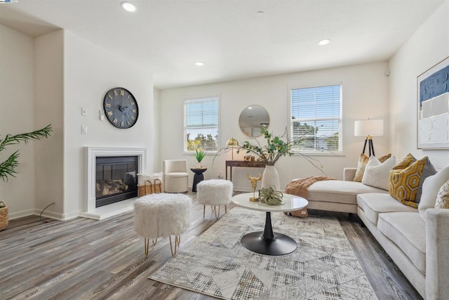 living room with dark hardwood / wood-style flooring