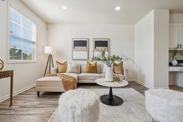 living room featuring wood-type flooring