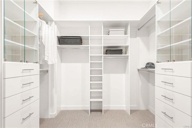 walk in closet featuring light carpet