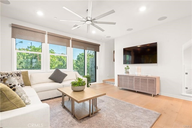 living room with ceiling fan and light hardwood / wood-style flooring