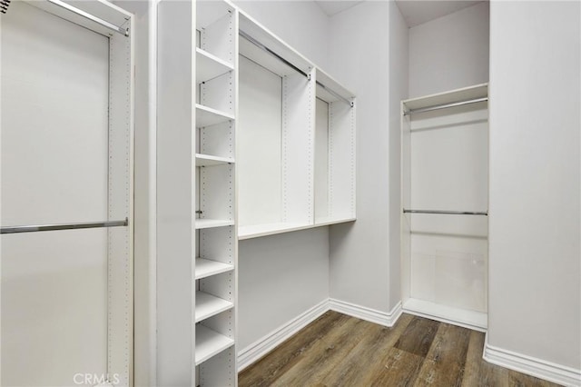 walk in closet featuring dark hardwood / wood-style flooring