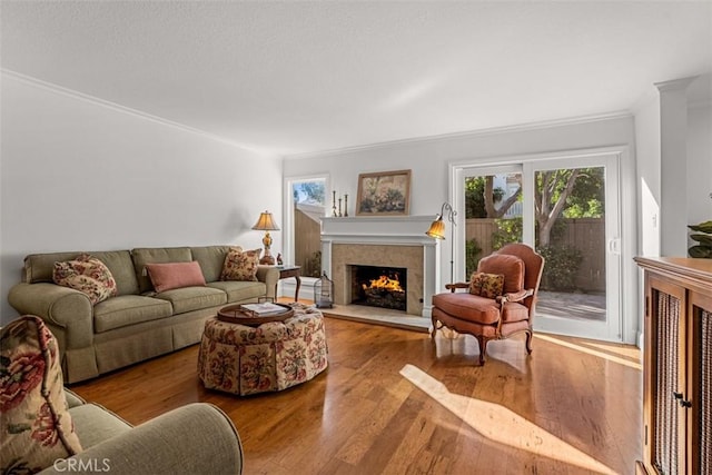 living area with a lit fireplace, wood finished floors, and crown molding