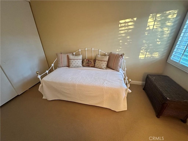 bedroom with carpet floors