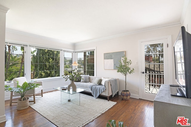 living room featuring dark wood-type flooring and ornamental molding