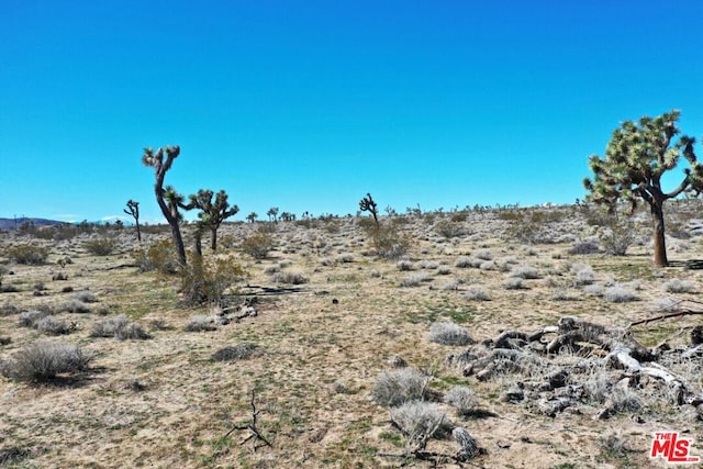 0 Rice Ave, Joshua Tree CA, 92252 land for sale