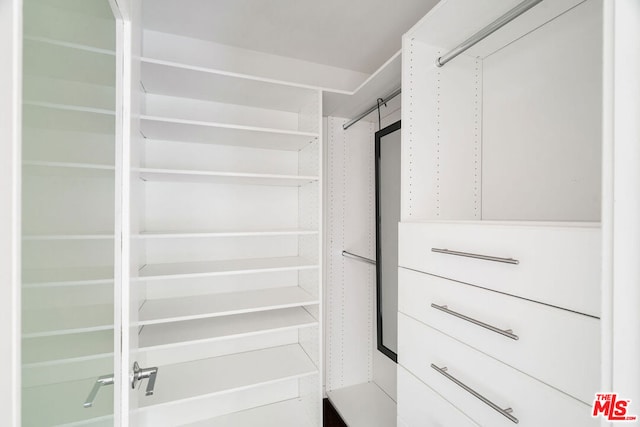 view of spacious closet