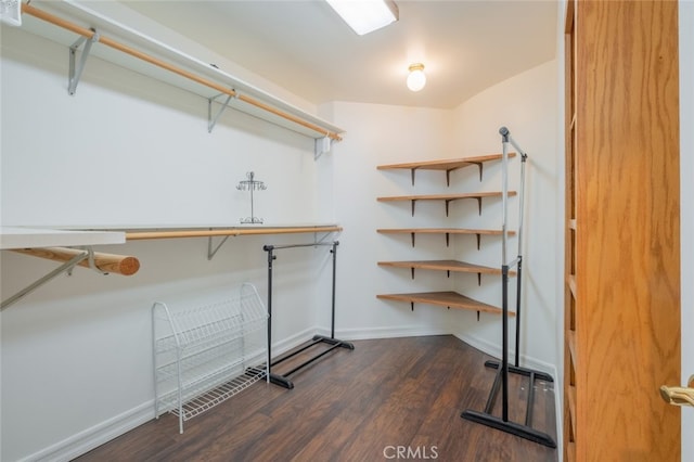 spacious closet featuring dark wood-type flooring