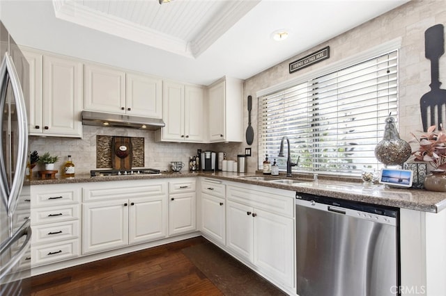 kitchen featuring under cabinet range hood, a sink, white cabinets, appliances with stainless steel finishes, and a tray ceiling