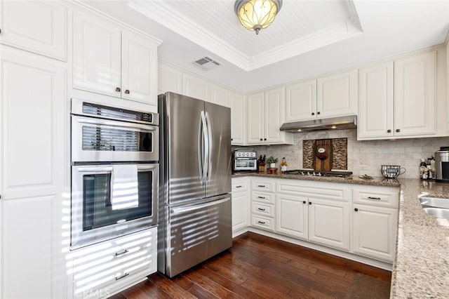 kitchen featuring appliances with stainless steel finishes, a tray ceiling, white cabinetry, and under cabinet range hood