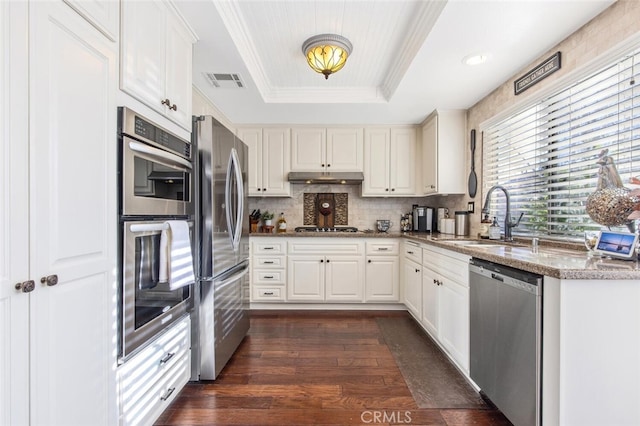 kitchen featuring appliances with stainless steel finishes, a tray ceiling, white cabinetry, and a sink