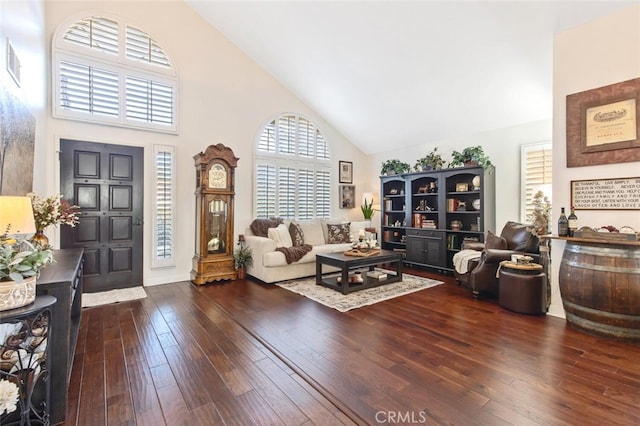 living room featuring high vaulted ceiling and dark wood-type flooring