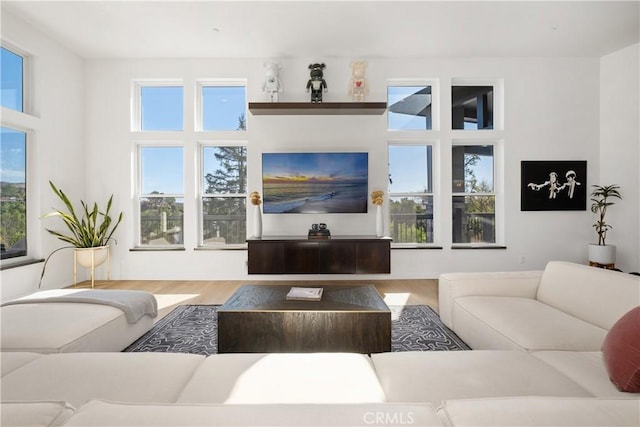 living room with hardwood / wood-style floors