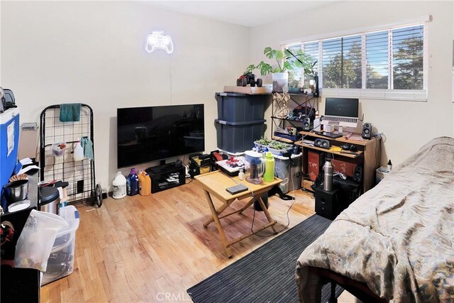 living room featuring light wood-type flooring