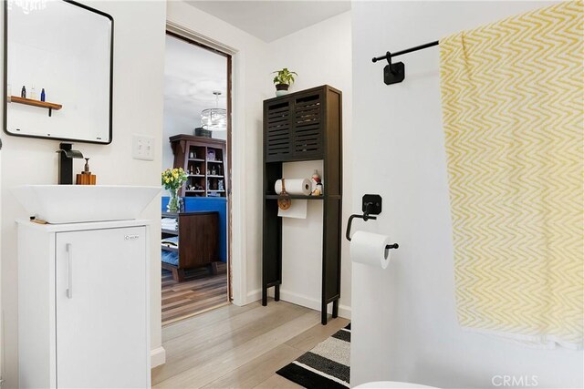 bathroom featuring sink and hardwood / wood-style flooring