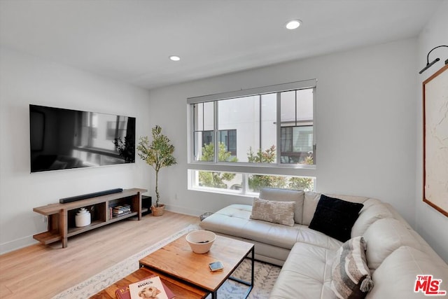 living room featuring wood-type flooring