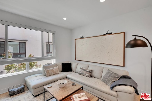 living room featuring light hardwood / wood-style floors