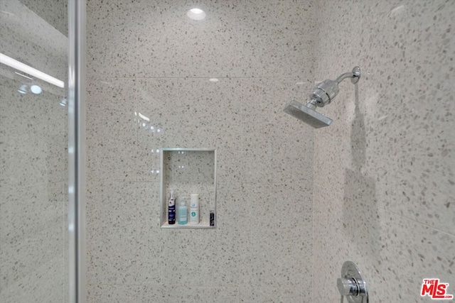 interior details featuring a shower