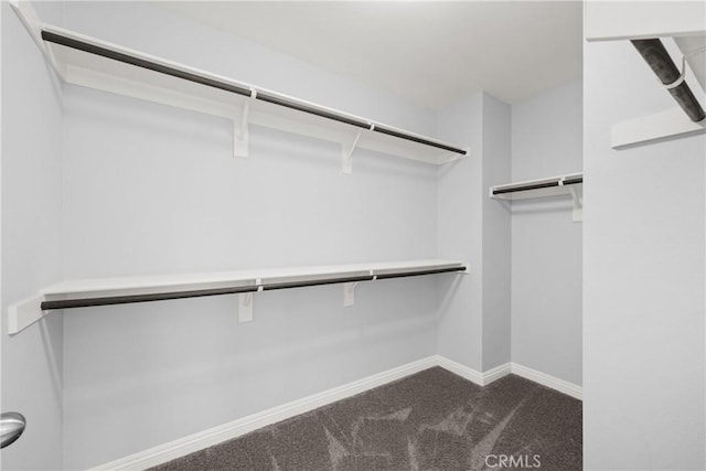 walk in closet with dark colored carpet