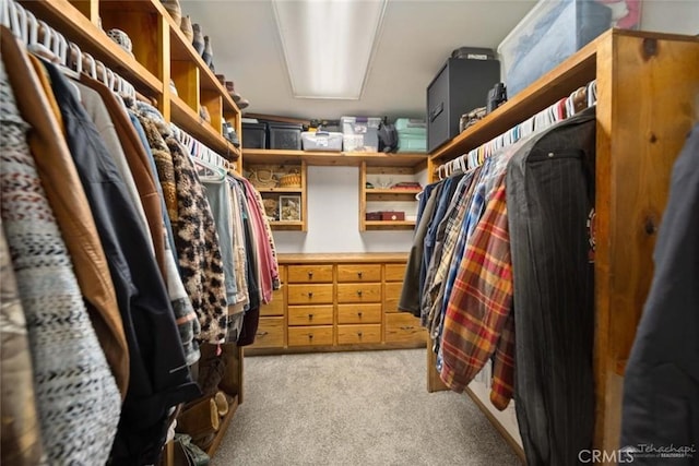 walk in closet with light colored carpet