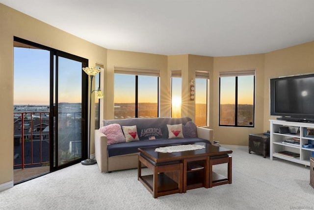 carpeted living room with a wealth of natural light