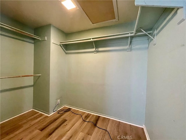 spacious closet featuring wood-type flooring