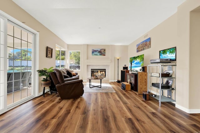 living room with hardwood / wood-style floors