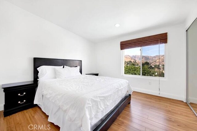 bedroom with light wood-type flooring and a closet