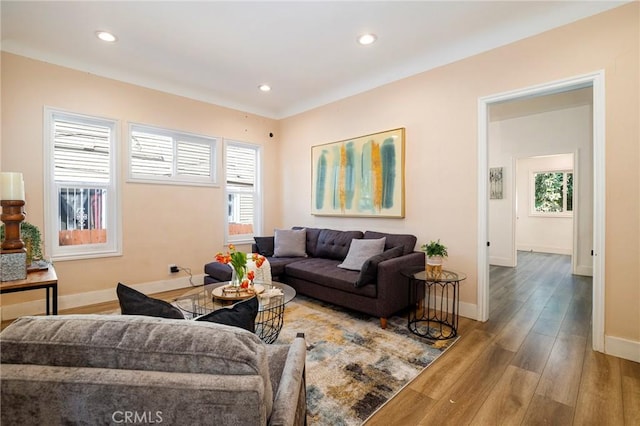 living room with wood-type flooring and a healthy amount of sunlight