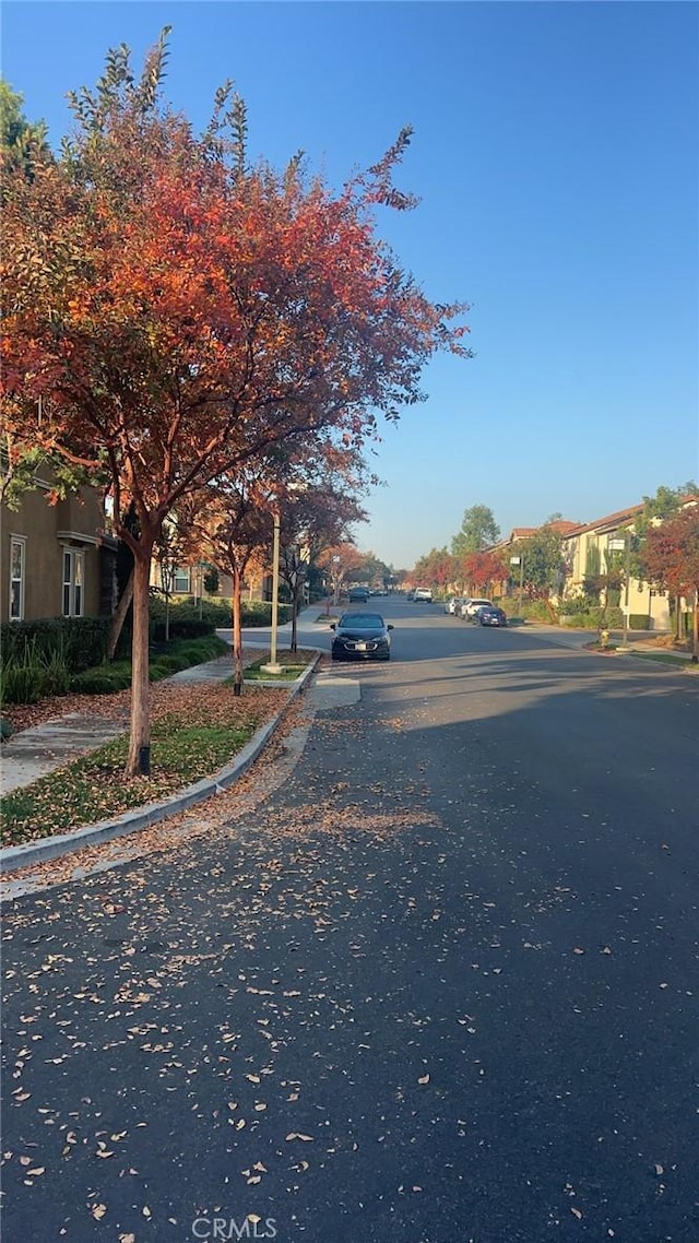 view of road