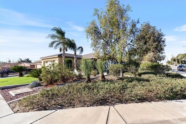 view of property hidden behind natural elements