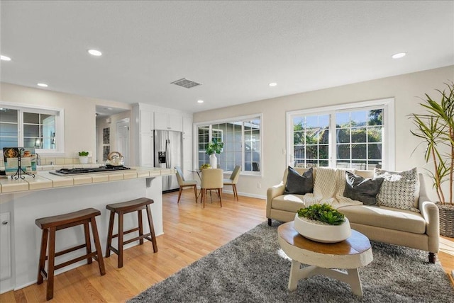 living room with light hardwood / wood-style floors